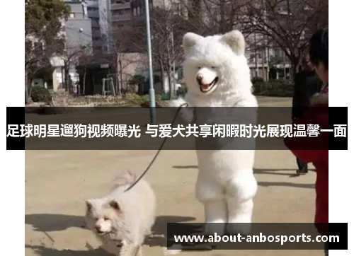 足球明星遛狗视频曝光 与爱犬共享闲暇时光展现温馨一面