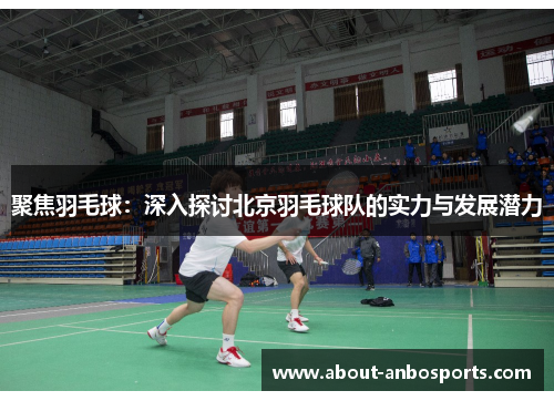 聚焦羽毛球：深入探讨北京羽毛球队的实力与发展潜力