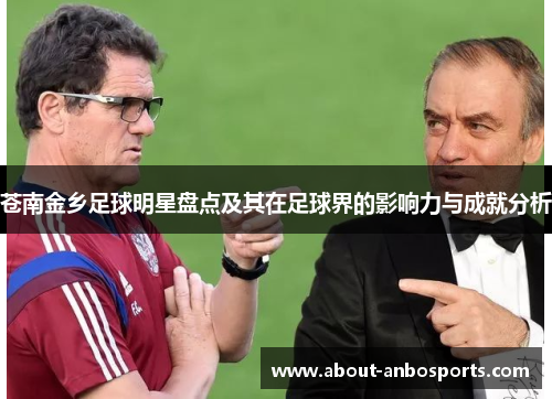 苍南金乡足球明星盘点及其在足球界的影响力与成就分析