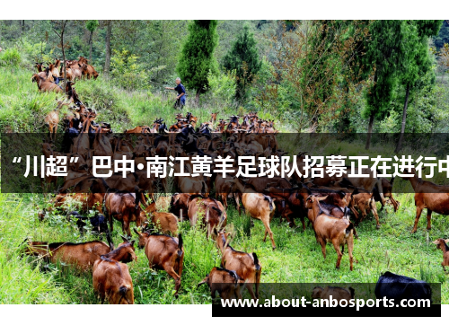 “川超”巴中·南江黄羊足球队招募正在进行中